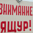 Памятка населению по профилактике ящура животных - Луховицкие вести