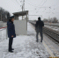 По предписанию Госадмтехнадзора в Алпатьеве очищена полоса отвода РЖД - Луховицкие вести