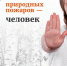 Главное управление МЧС России по Московской области напоминило луховичанам об опасностях палов сухой травы - Луховицкие вести