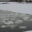 434B3868-A6BC-4F43-8CD1-1EB346A76C94.jpeg - Луховицкие вести