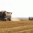 5AFB6276-3115-4ADC-8A86-A5420A06B9A7.jpeg - Луховицкие вести