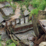 E0B7EBC2-57B0-4B7C-986E-CB72A294DC73.jpeg - Луховицкие вести