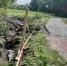 7AB03548-05B6-487C-9B2A-BCCFEA5FDF4C.jpeg - Луховицкие вести