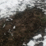 6736425C-18A1-43DA-884D-C039830BF8D7.jpeg - Луховицкие вести