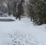 266ABECB-9787-42D8-9491-D280654A414C.jpeg - Луховицкие вести