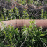 BDD58699-0AB9-4310-9BAE-E99A3865E8B8.jpeg - Луховицкие вести