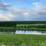 Жителей Подмосковья 3 июля ждет почти что жаркая погода - Regions.Ru