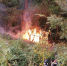 Пожарные во Фруктовой не дали огню перекинуться с сарая на лес - Regions.Ru