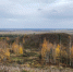 Какая погода ожидает жителей Подмосковья во вторник, 11 ноября - Regions.Ru
