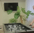 Мяч легкий, а польза огромная: как в Луховицах пенсионеры покоряют новый вид спорта - Regions.Ru