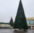 В Луховицах установили главную новогоднюю елку - Regions.Ru