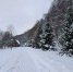 Какая погода ждет жителей Подмосковья в Рождество - Regions.Ru