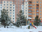 Какая погода ждет жителей Подмосковья в первый официальный рабочий день 2026 года